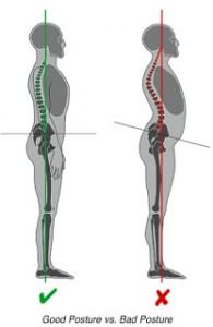 spinal movement and good posture, back strengthening exercises, spinal health and mobility